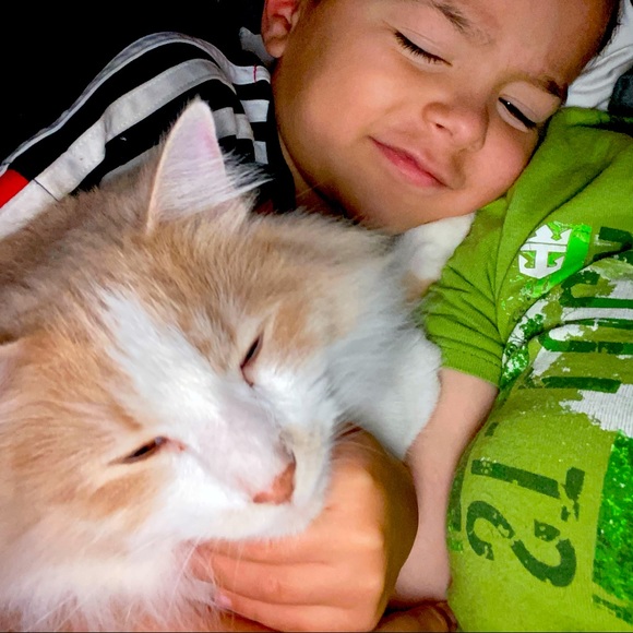 My Man Cat Niko! - Picture 3 of 11